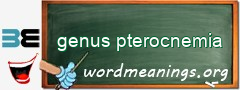 WordMeaning blackboard for genus pterocnemia